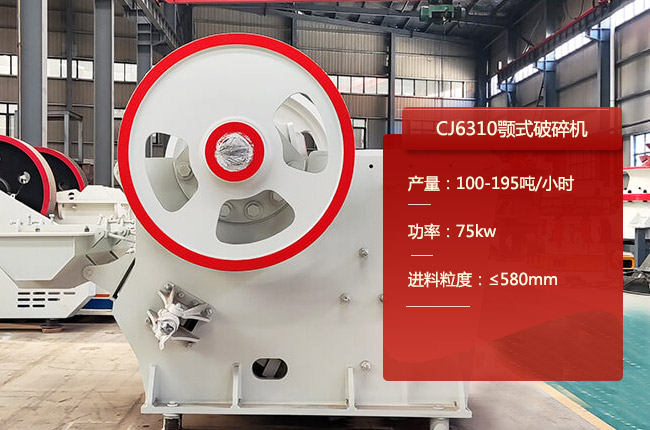 CJ6310ŷ
