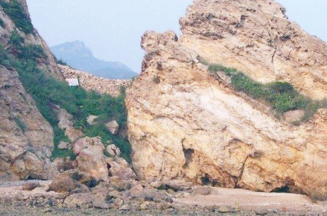 绯
